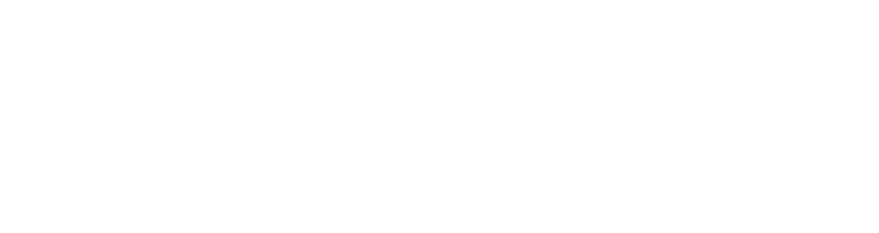 ice ic.ido